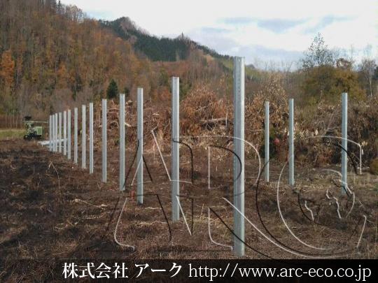 進捗状況