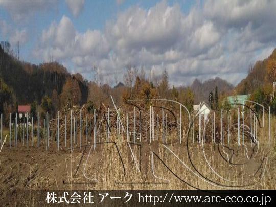進捗状況