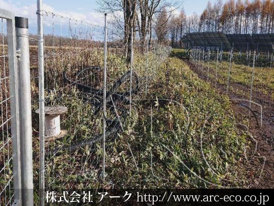 進捗状況