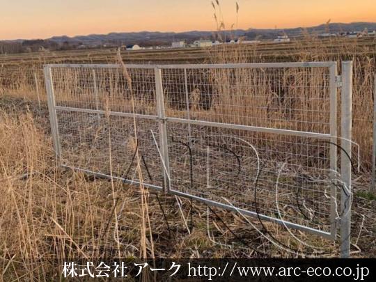 進捗状況