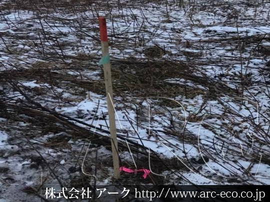 進捗状況