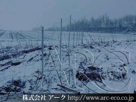 進捗状況
