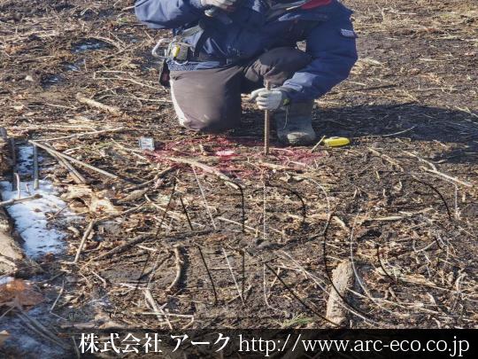 進捗状況