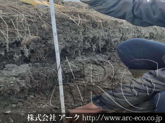 進捗状況