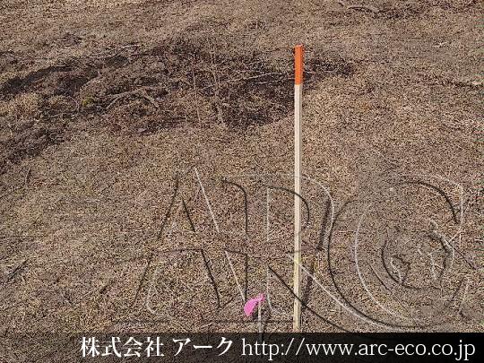 進捗状況