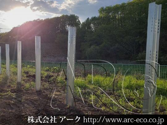 進捗状況