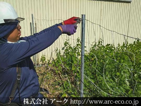 進捗状況