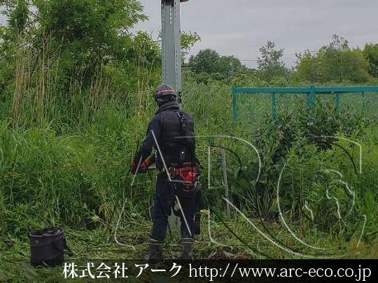 進捗状況