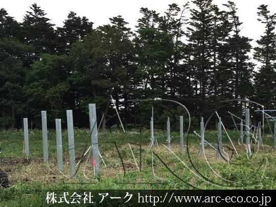 進捗状況