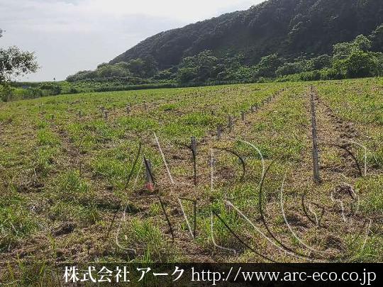 進捗状況