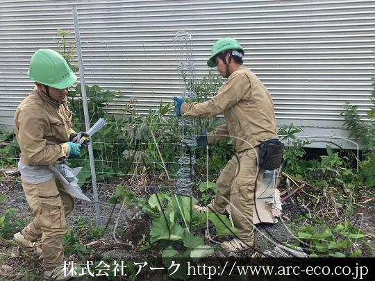 進捗状況