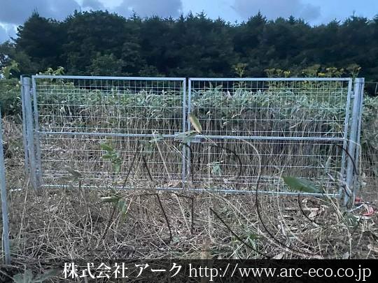 進捗状況