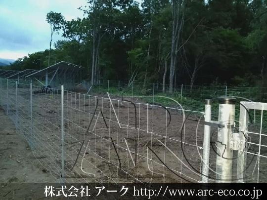 進捗状況