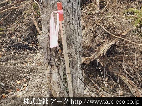 進捗状況
