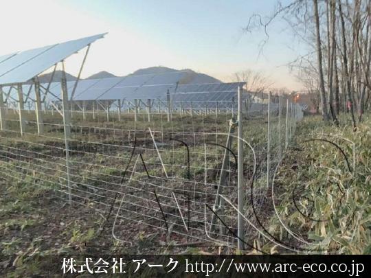 進捗状況
