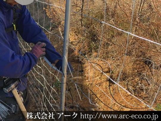 進捗状況