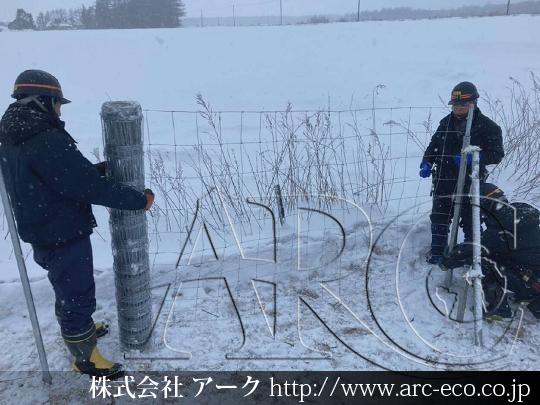 進捗状況