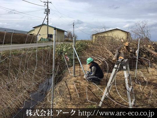 進捗状況