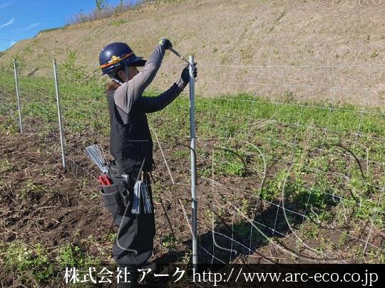 進捗状況