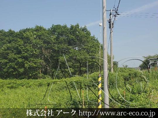 進捗状況