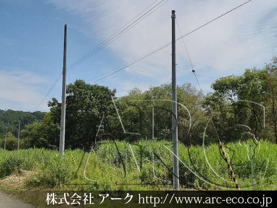 進捗状況