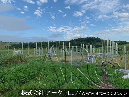 進捗状況