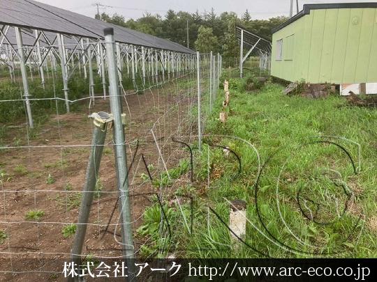進捗状況
