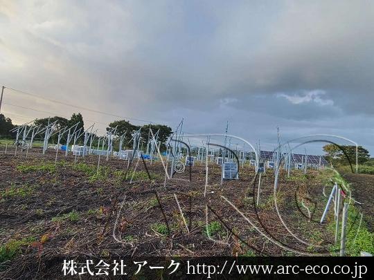 進捗状況