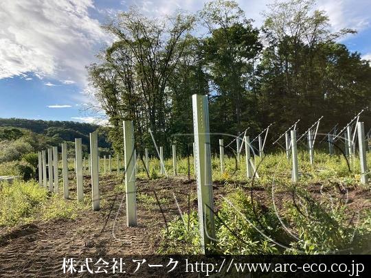 進捗状況