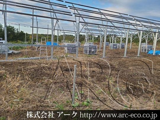 進捗状況