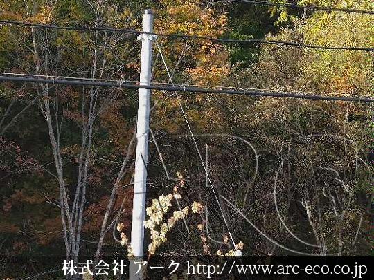 進捗状況