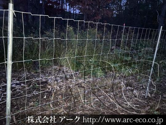 進捗状況