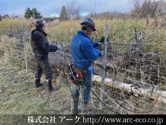 進捗状況