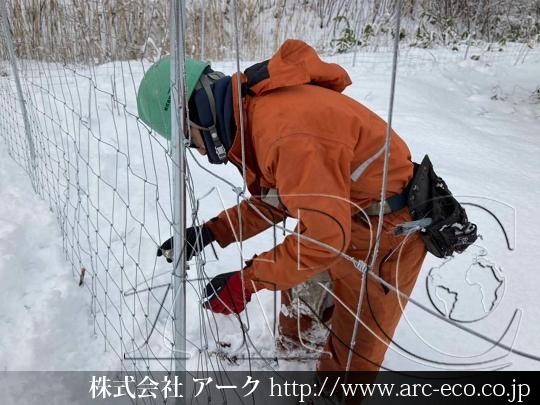 進捗状況