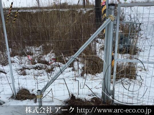 進捗状況