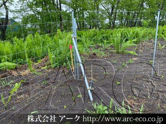 進捗状況