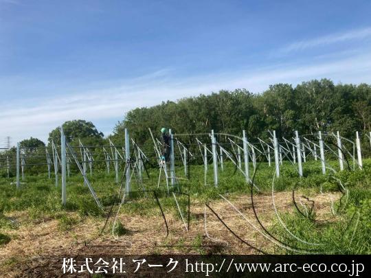 進捗状況