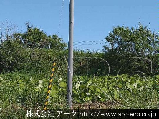 進捗状況