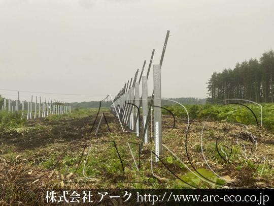 進捗状況