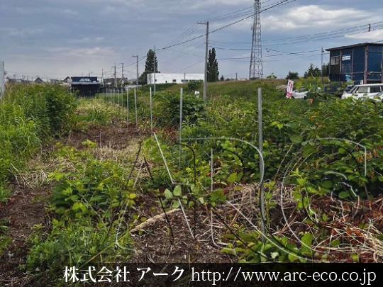 進捗状況