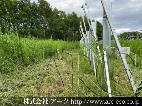 進捗状況