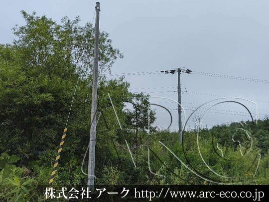 進捗状況
