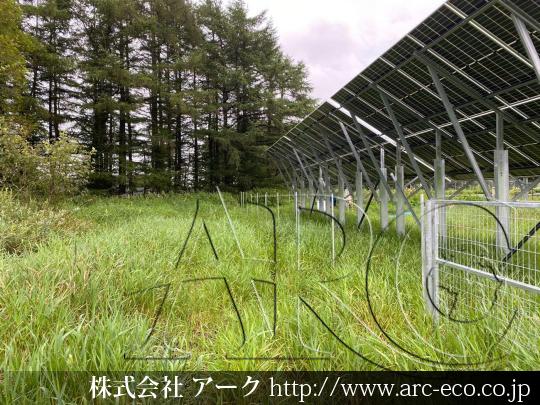進捗状況