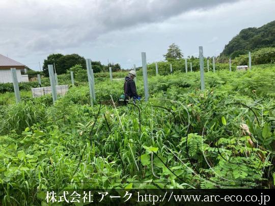 進捗状況