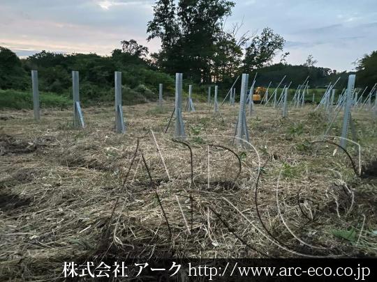 進捗状況