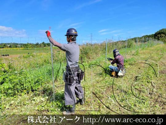 進捗状況