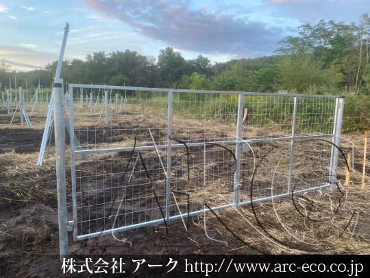 進捗状況