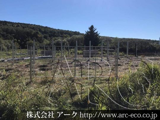 進捗状況