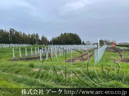 進捗状況