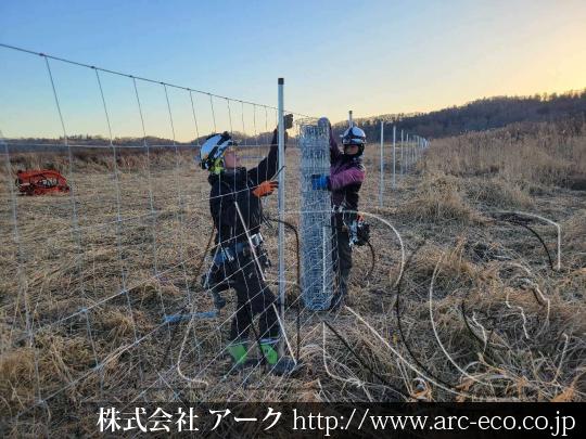 進捗状況